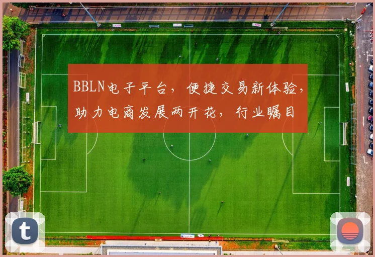 BBLN电子平台，便捷交易新体验，助力电商发展两开花，行业瞩目