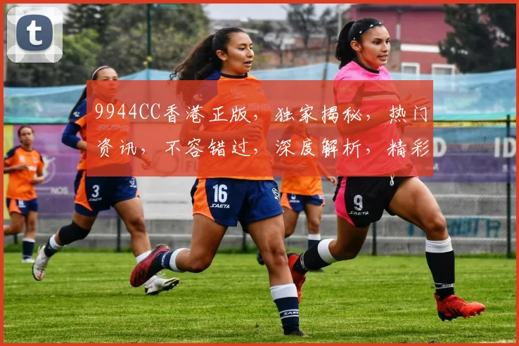 9944CC香港正版，独家揭秘，热门资讯，不容错过，深度解析，精彩纷呈