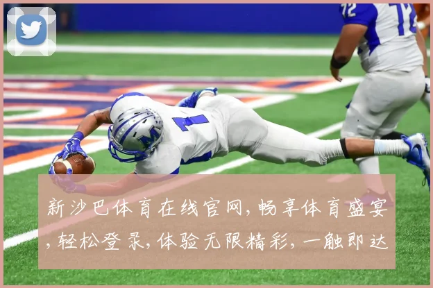 新沙巴体育在线官网,畅享体育盛宴,轻松登录,体验无限精彩,一触即达